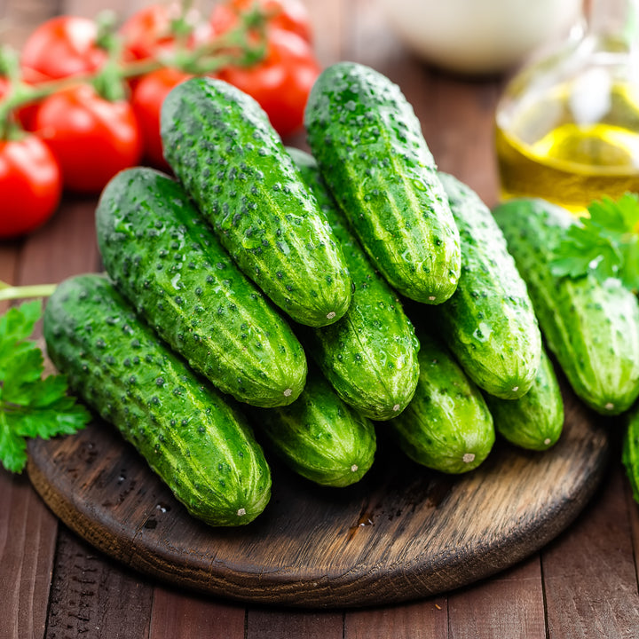 Beit Alpha Cucumber Seeds